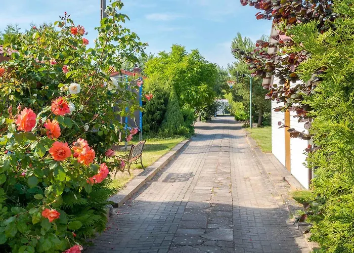 Letniskowe El-dar Дом отдыха